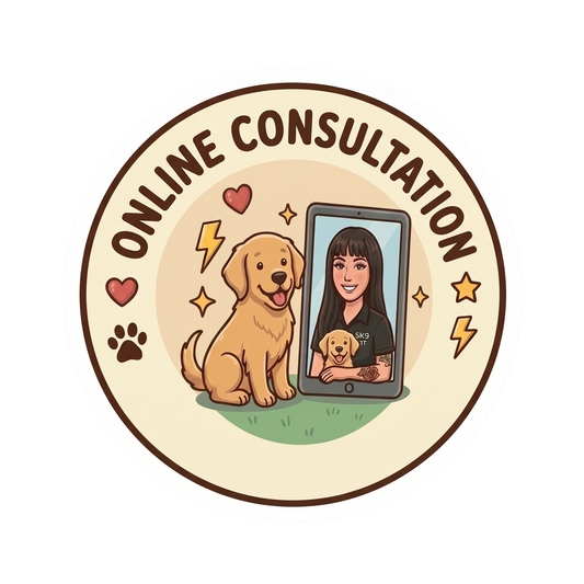 Virtual Consult